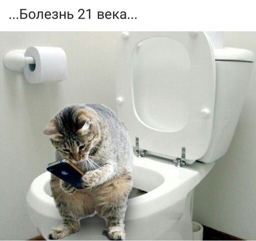 Болезнь 21 века Ё