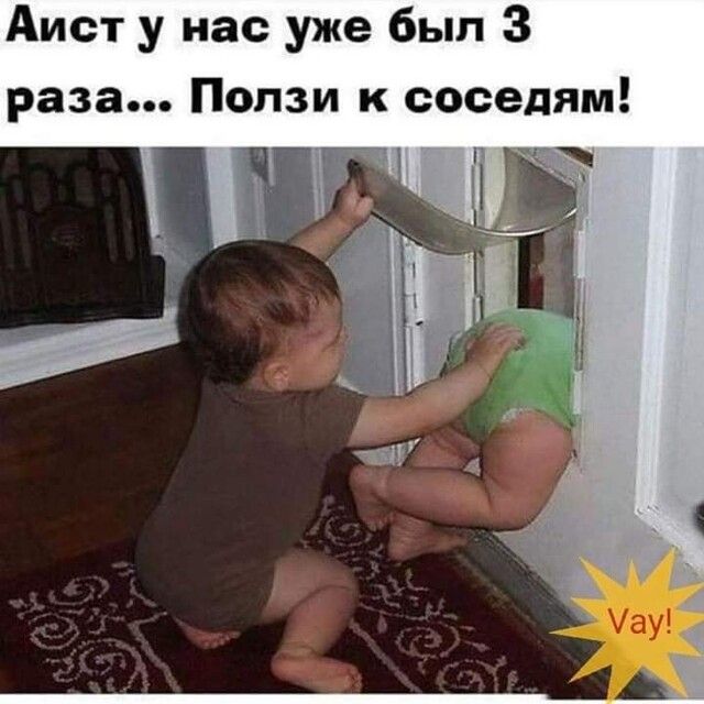Аист у нас уже был 3
