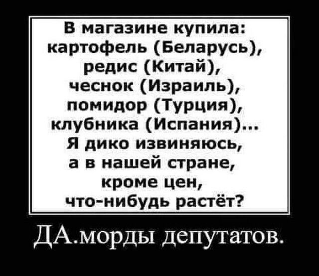 В магазине купила картофель Беларусь редис Китай чеснок Израиль помилор Турции клубника Испания Я дико извиняюсь а в нашей стране кроме цен что нибудь растёт ДАМорДы Депутатов