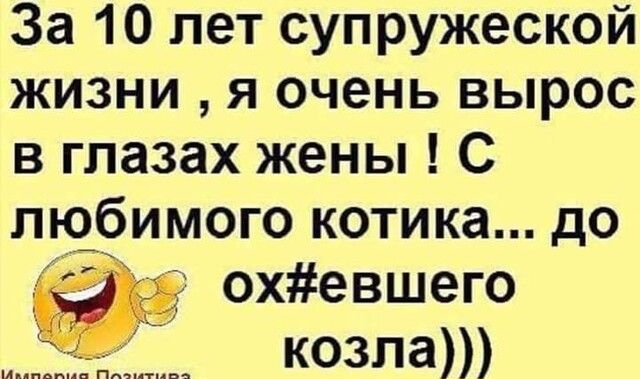 За 10 лет супружеской жизни я очень вырос в глазах жены С любимого котика до охевшего козла