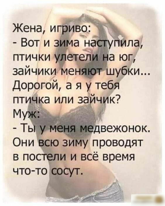 Жена и Вот и птички Ть лвежонок Они проводят в по и и всё время