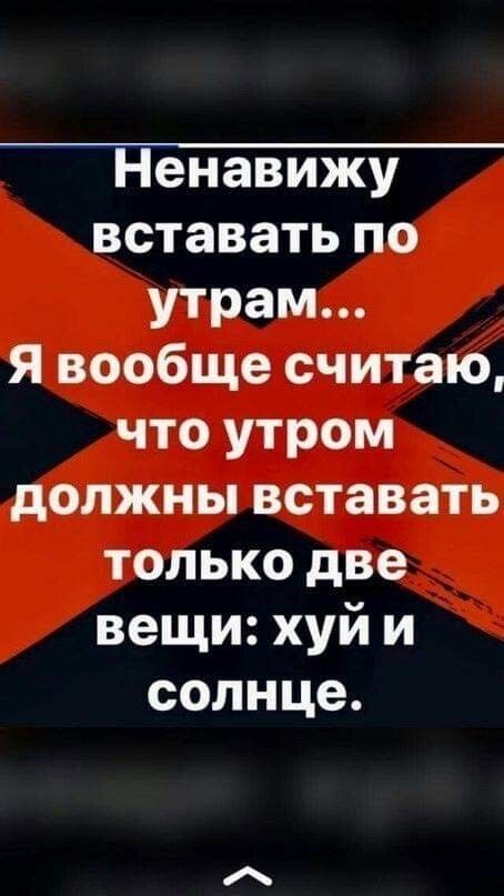 Ненавижу вставать по утрам Я вообще считаю что утром должны вставать только две вещи хуй и солнце