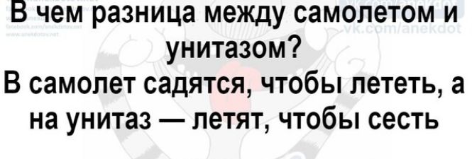 В чем разница между самолетом и унитазом В самолет садятся чтобы лететь а на унитаз летят чтобы сесть