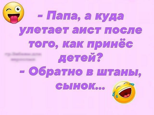 49 Папа а куда улетает аист после того как принёс детей Обратно в штаны сынок