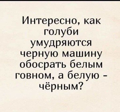 Интересно как голуби умудряются черную машину обосрать белым говном а белую чёрным