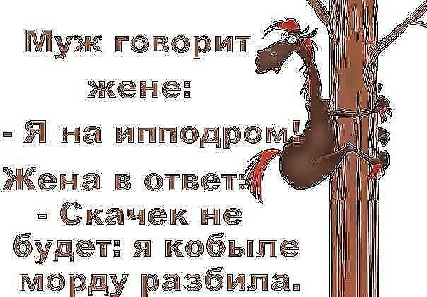 уж т Я На ИтПдр На _Жена а Качек ЁЁ УДЁТЁ 6ЫПЁ ду раЗЁИЁаШ
