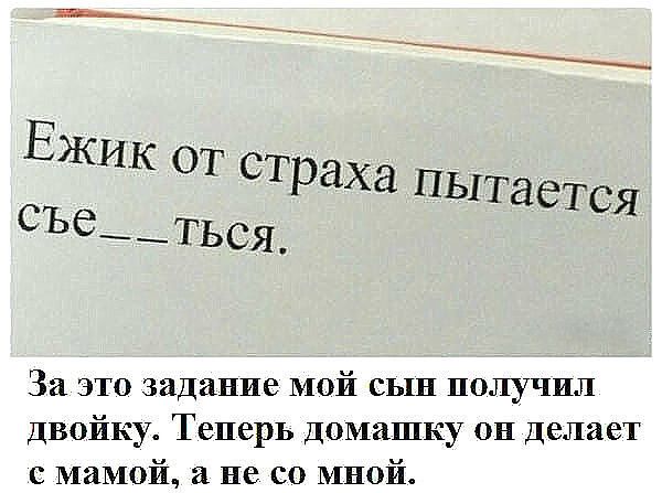 Ежик от страха пыт ЭВТСЯ СЪ6__тЬСЯ_ За это задание мой сын получил Двойку Теперь Домашку он делает с мамой не со мной