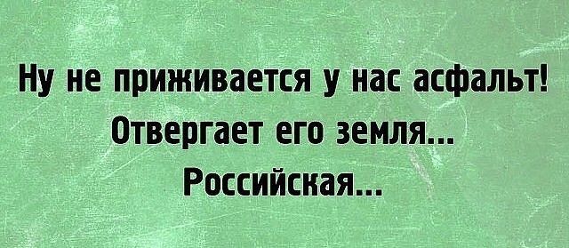 Ну не приживается у нас асфальт Отвергает его земля Российская