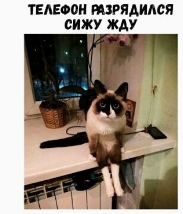 ТЕЛЕФОН РАЗРЯАИАСЯ сижу ЖАУ