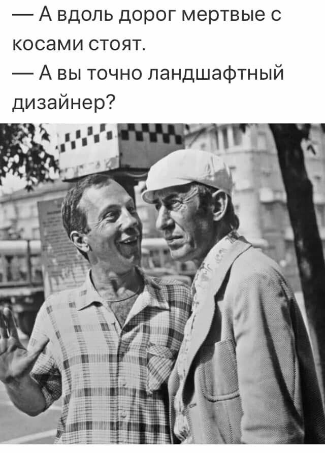 А вдоль дорог мертвые с косами стоят А вы точно ландшафтный дизайнер