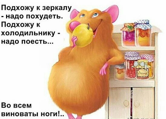 Подхожу к зеркалу _ надо похудеть Подхожу к холодильнику надо поесть Во всем ВИНОВЗТЫ НОГИ