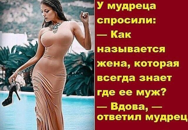 называется жена которая всегда знает где ее муж Вдова ответил мудрец