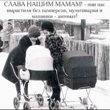 ЖАБА НШ11 1щин ппцпц ниши и щ шмрмі ыпншкн _ шхш гр