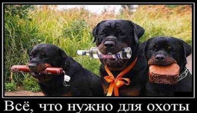 Всё что нужно для охоты