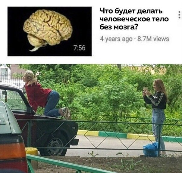 Что будет делать _ человеческое тело без мозга 4 тт