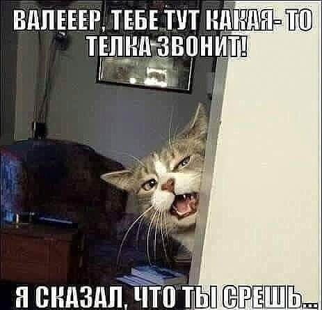 ЁППЕЕЕР ПП НЁНДЗ н синайЁп НПЗЁШПЬь