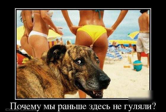 Почему мы раньше здесь не гуляли