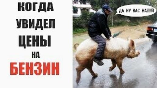 НПГДА УВИДШ цшы