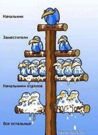 Ншшьиик Зцжутми исп
