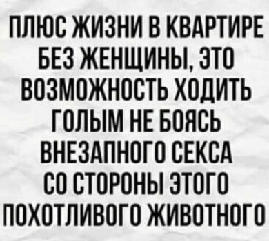 ПЛЮО ЖИЗНИ В КВАРТИРЕ БЕЗ ЖЕНЩИНЫ ЭТО ВОЗМОЖНОСТЬ ХОДИТЬ ГОЛЫМ НЕ БОНОЬ ВНЕЗАПНОГО ОЕКОА ОО СТОРОНЫ ЭТОГО ПОХОТПИВОГО ЖИВОТНОГО