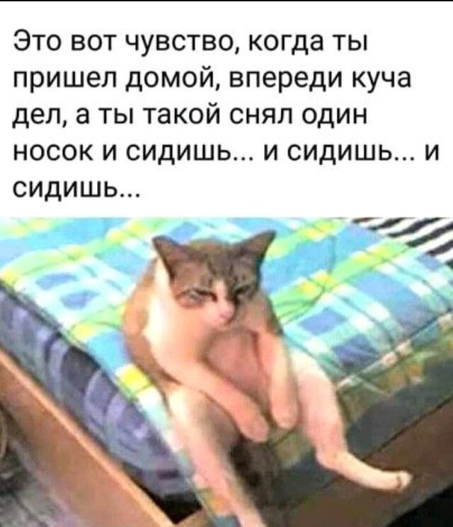 Это вот чувство когда ты пришел домой впереди куча дел а ты такой снял один носок и сидишь и сидишь и сидишь 4