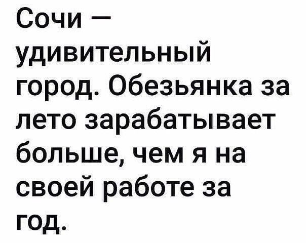 Сочи удивительный город Обезьянка за лето зарабатывает большечем я на своей работе за год