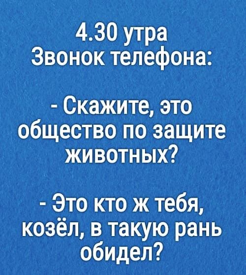 430 утра Звонок тепефона Скажите это общество по защите животных Это кто ж тебя козёл в такую рань обидел