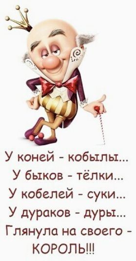 У коней кобылы У быков тёлки У кобелей суки У дураков дуры Глянула на своего КОРОЛЬ