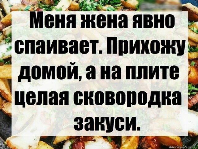 ЁЁ Меня июна вино Ёспаивает ппихожиз домои а на плите Ёцепая сновоподна 5 закиси Еды