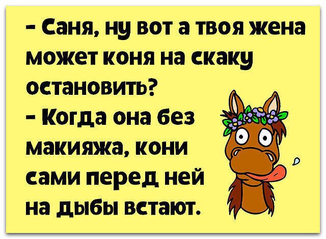 Саня ну вот а твоя жена может коня на скаку остановить Когда она без макияжа кони сами перед ней на дыбы встают