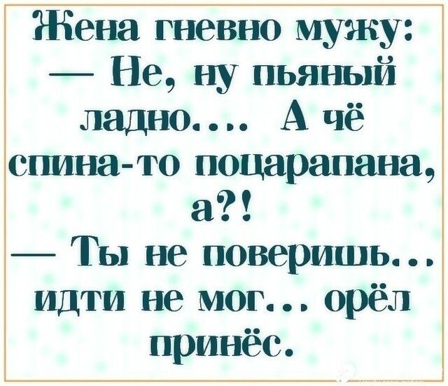 Жена гневно мужу Не ну пьяный ладно А чё спина то поцарапана а Ты не поверишь идти не мог орёл принёс