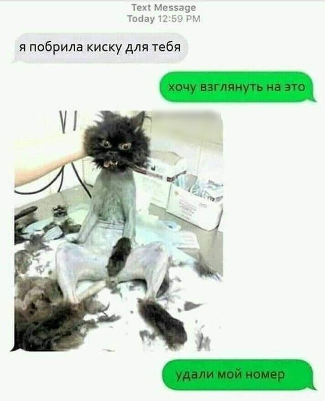 я побрила киску для тебя