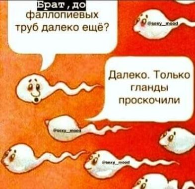 фаллопиевых трубдалеко ещё и _ далеко Только в 4 гпанды РОСКОЧИПИ
