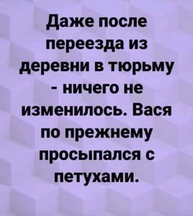 даже после переезда из деревни в тюрьму ничего не изменилось Вася по прежнему просыпался с петухами