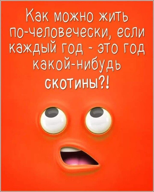 Как можно жить почецовечески если каждый год это год какойнибУДь скотина А _