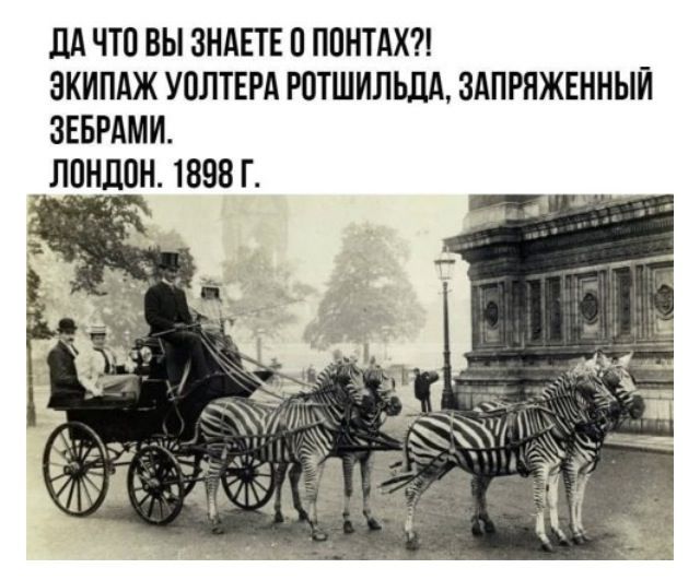 дА что вы зндвтв ппнтдхи зкипдж уолтврд ютшилшд здпряжвнныи звврдми лпднпн 1898 г