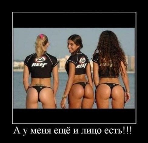 А у меня ещё и лицо есгь