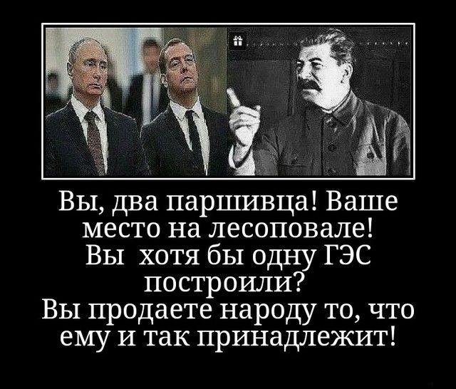 Вы два паршивца Ваше место на лесоповале ВЫ хотя бы одну ГЭС построили Вы продаете народу то что ему И так принадлежит