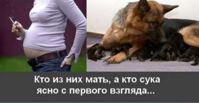 КТО ИЗ НИХ МЗТЬ а КТО сука ЯСНО С ПЭРВОГО взгляда