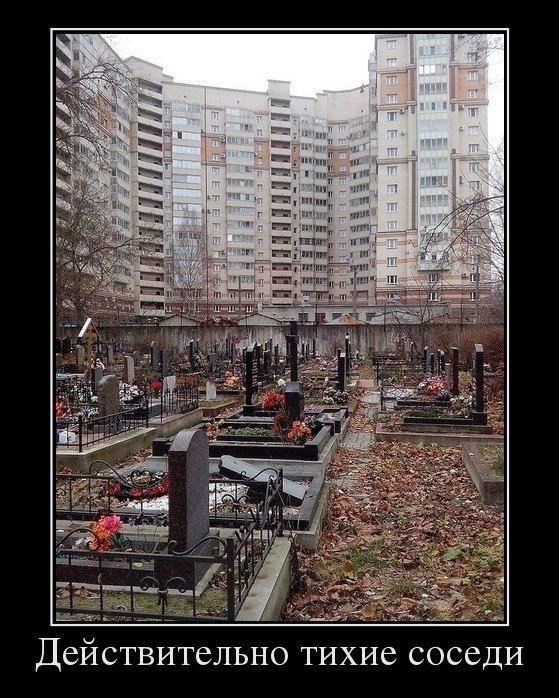 Действительно тихие соседи