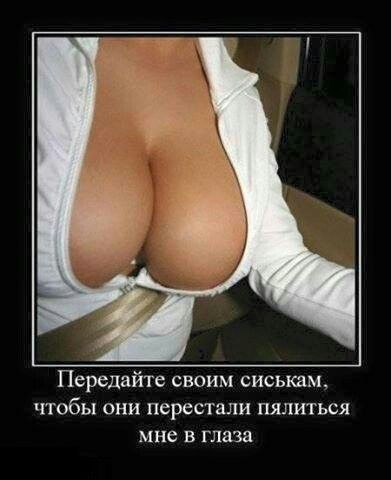 Передайте своим сиськам чтобы они перестали пялиться мне в глаза