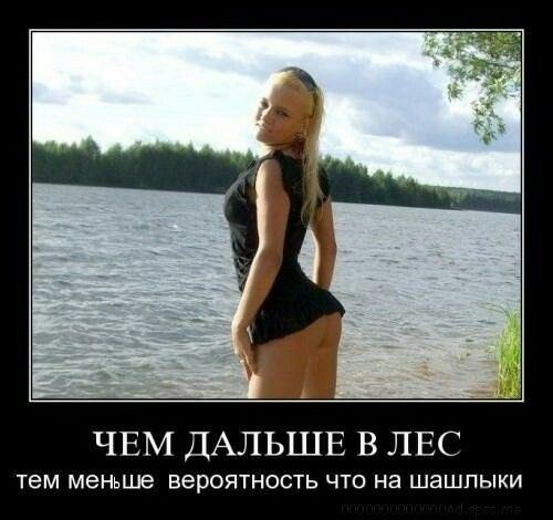 ЧЕМ ДАЛЬШЕ В ЛЕС ТЕМ меНьше вероятность ЧТО на ШаШПЫКИ