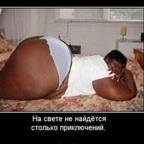 На свете не найдётся столько приключений