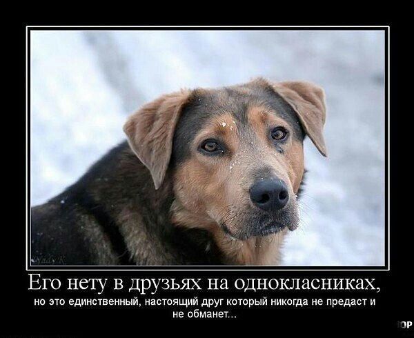 ЕГО нету В ДРУЗЬЯХ на однокласниках но единственный настоящий друг котрый никогда не предаст и не обманет хг