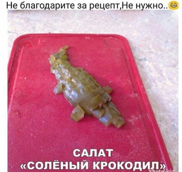 Не бдагодарите за рецеп_тНе нужно 66 сол15нвпи РОКОДИЛ