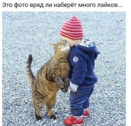 иков Это фото вряд ли наберет много ла