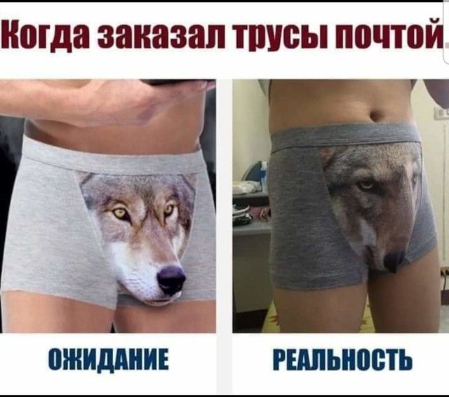ноша заказал типсы почтой _ 1 ожиддниг гшьнпеть