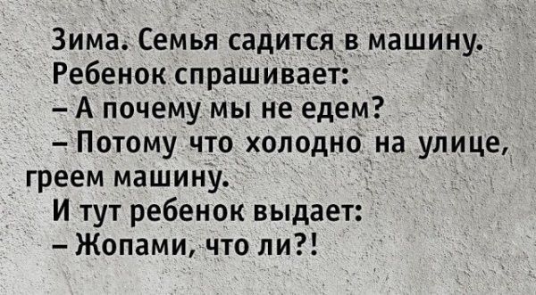 Зима Семья садится маШИну Ребенок спрашИвает А Почему мы не едем Потому что холодно на улице греем машину И тут ребенок выдает Жопами что ли