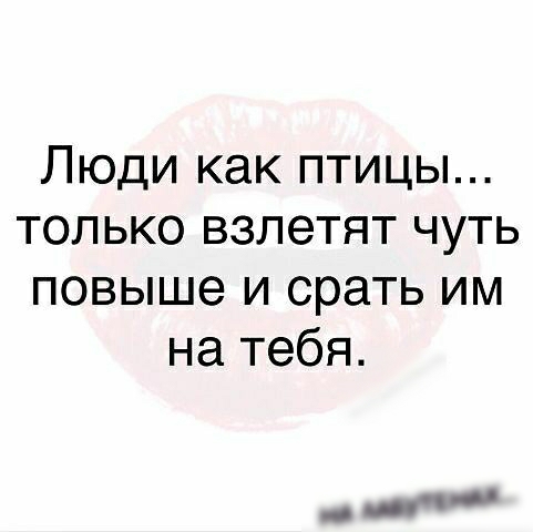 Люди как птицы только взлетят чуть повыше и срать им на тебя