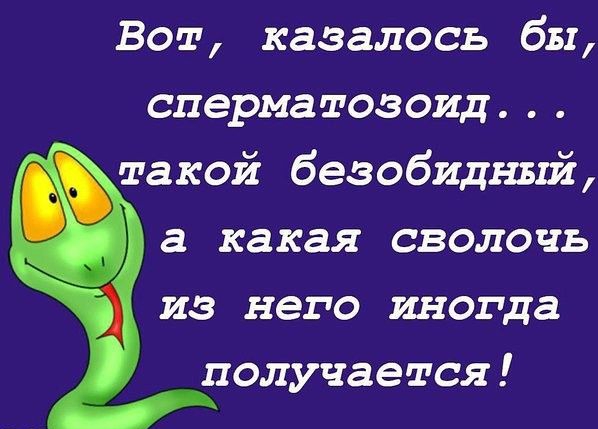 Вот казалось бы сперматозоид такой безобидный а какая сволочь из него иногда получается